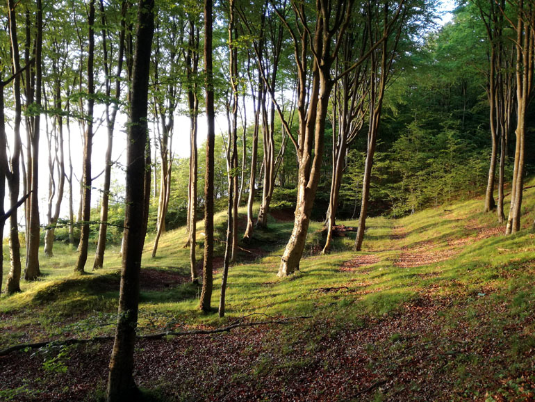 mapa mamy dom nad morzem 03